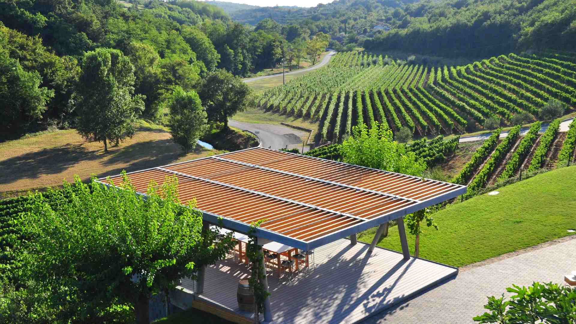 Istrian wine region - Malvasia Istriana vineyards with Mediterranean landscape