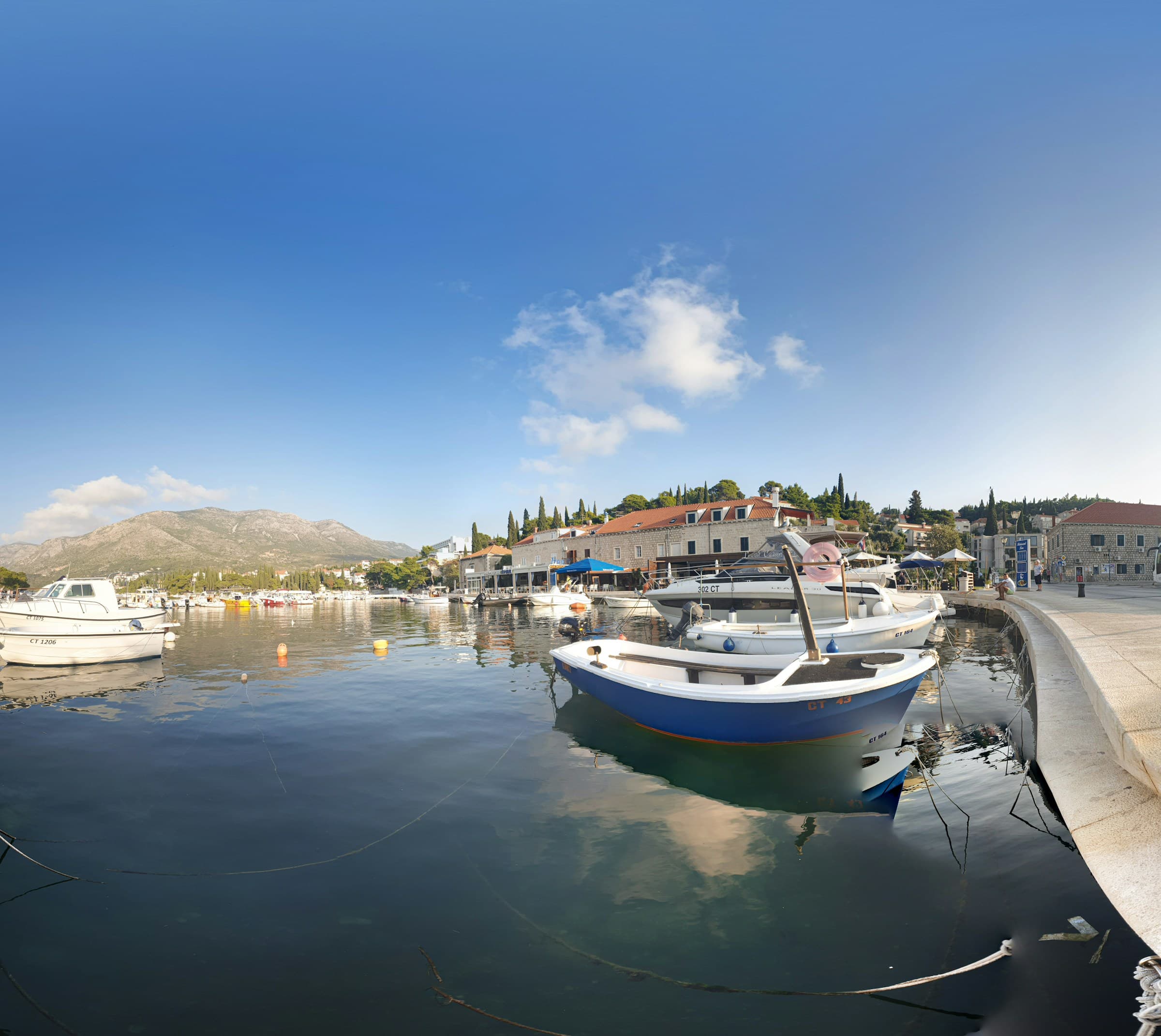 Cavtat seafront promenade with palm trees and harbor views