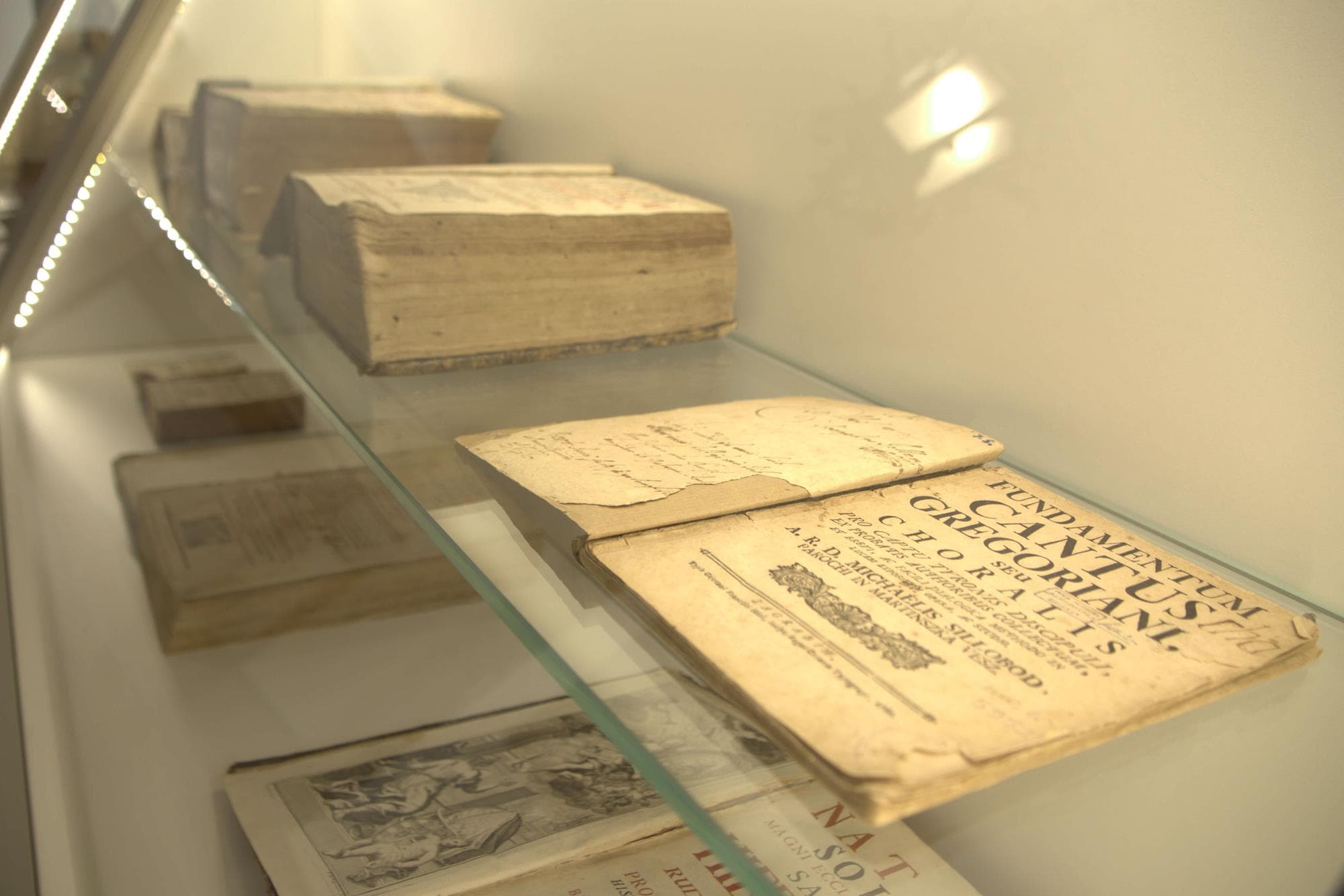 Samobor Museum