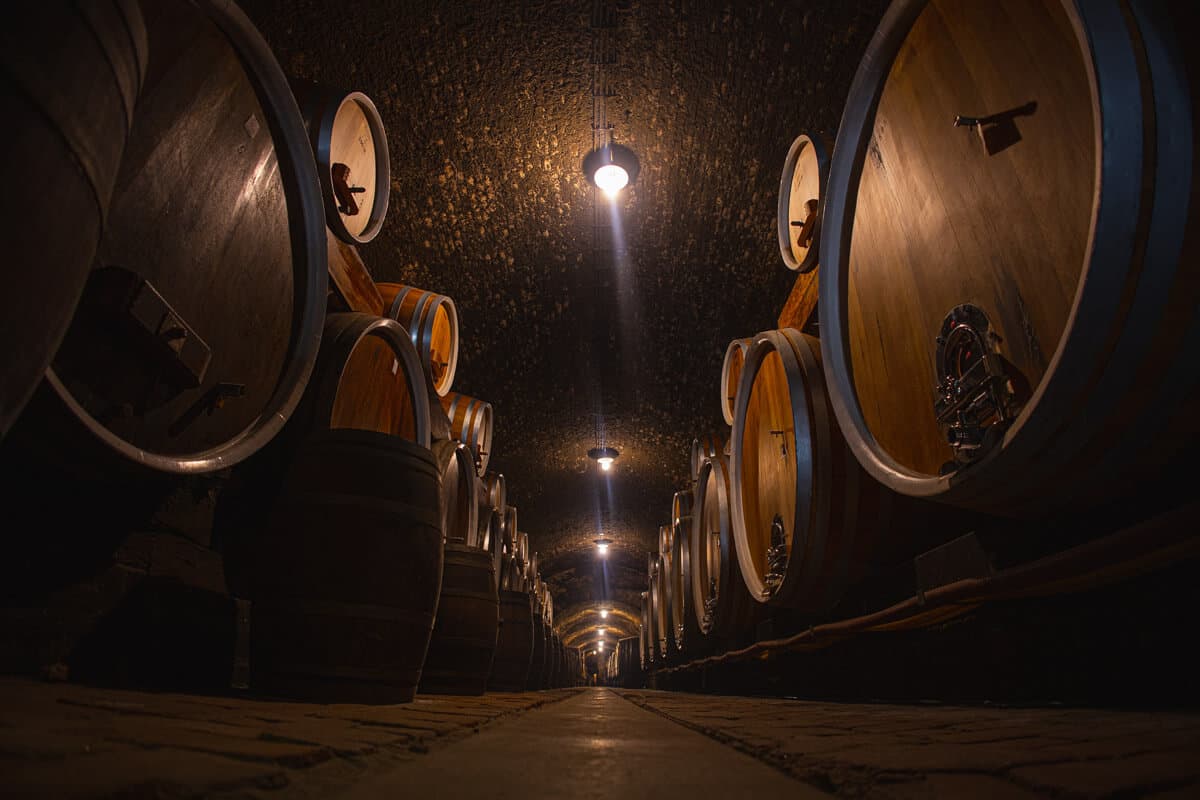 Ilok vineyards along the Danube River