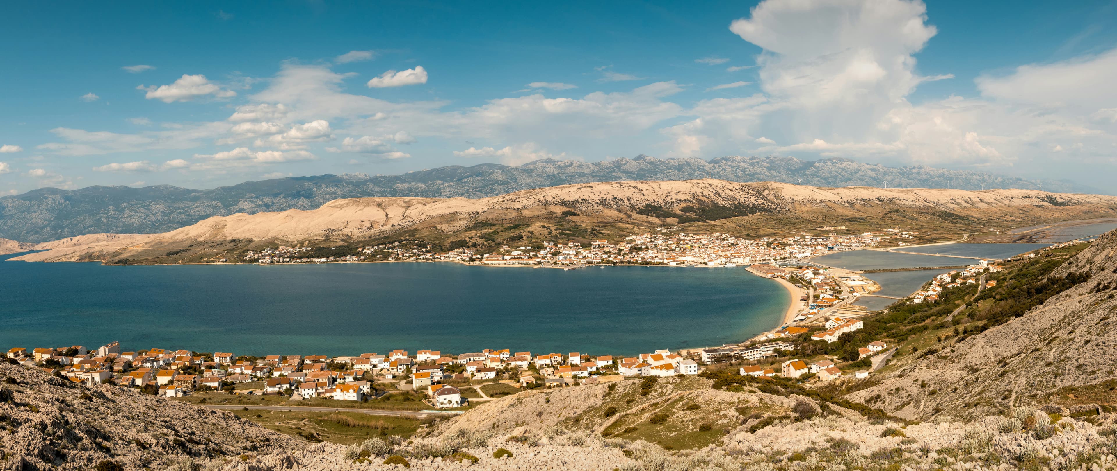 Paški Sir: The Island, the Sheep, and Why It Wins World Awards
